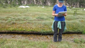 Lower Transect Left to Right Channel Across