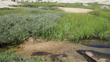 Lower Transect Left to Right Channel Across