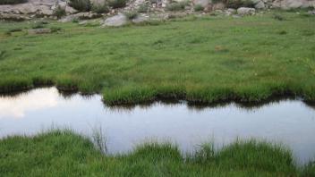 Lower Transect Left to Right Channel Across