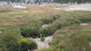 Lower Transect Left to Right Downstream