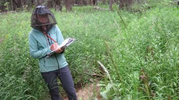 Lower Transect Left to Right Downstream