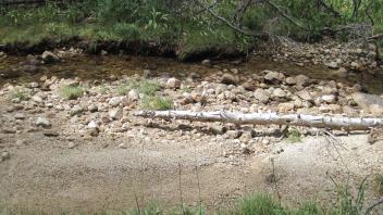 Lower Transect Left to Right Main Channel Across