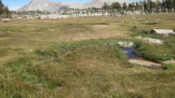 Lower Transect Left to Right Main Channel Downstream