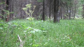 Lower Transect Left to Right Overview 2