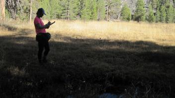 Lower Transect Left to Right Overview