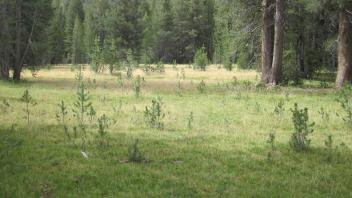 Lower Transect Left to Right Overview