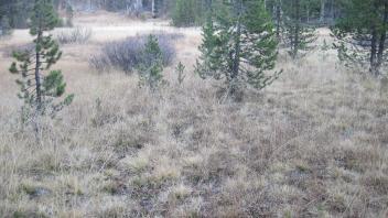 Lower Transect Left to Right Overview