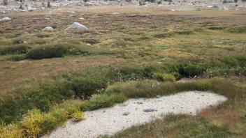 Lower Transect Left to Right Overview