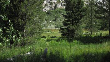 Lower Transect Left to Right Overview
