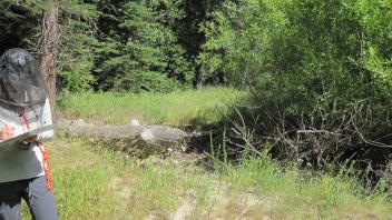 Lower Transect Left to Right Overview