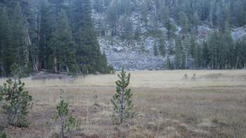 Lower Transect Left to Right Overview