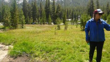 Lower Transect Left to Right Overview