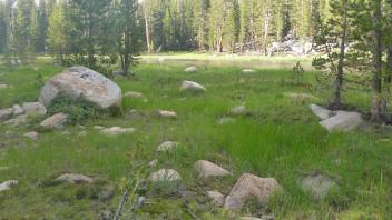 Lower Transect Left to Right Overview