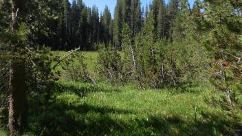 Lower Transect Left to Right Overview