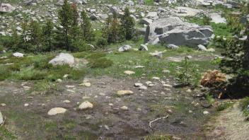 Lower Transect Left to Right Overview