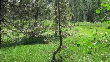 Lower Transect Left to Right Overview