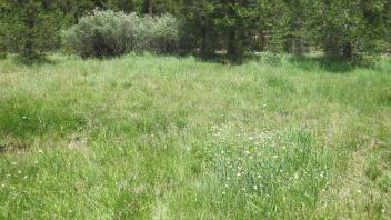 Lower Transect Left to Right Overview