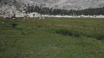 Lower Transect Left to Right Overview