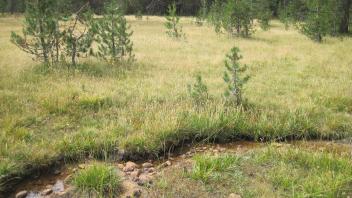 Lower Transect Left to Right Side Channel Overview