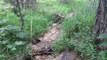 Lower Transect Left to Right Upstream