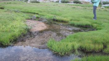 Lower Transect Left to Right Upstream