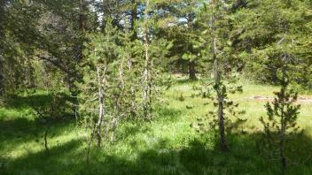 Lower Transect Overview (left to right)