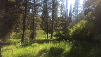 Lower Transect Overview (left to right)