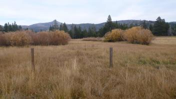 Lower Transect Overview (left to right)