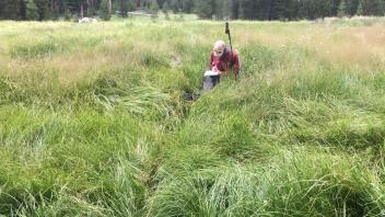 Lower Transect Overview (left to right)