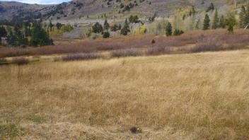 Lower Transect Overview (left to right)