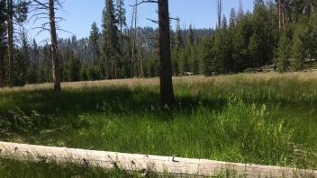 Lower Transect Overview (left to right)