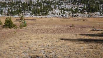 Lower Transect Overview (left to right)