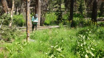 Lower Transect Overview (left to right)