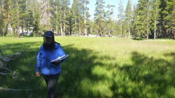Lower Transect Overview (left to right)