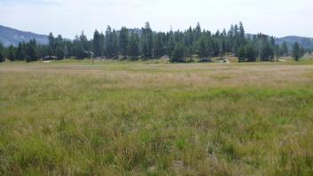 Lower Transect Overview (left to right)
