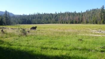 Lower Transect Overview (left to right)