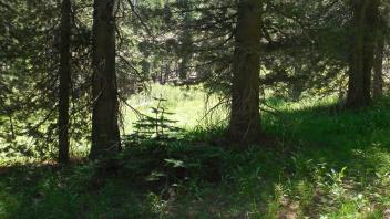 Lower Transect Overview (left to right)
