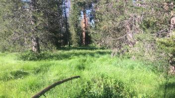 Lower Transect Overview (left to right)