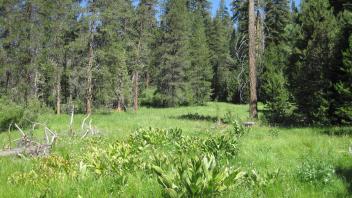 Lower Transect Overview (left to right)
