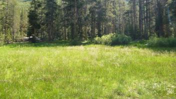Lower Transect Overview (left to right)