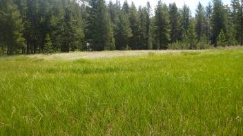 Lower Transect Overview (left to right)