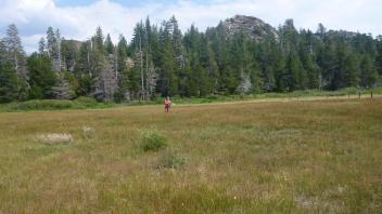 Lower Transect Overview (left to right)