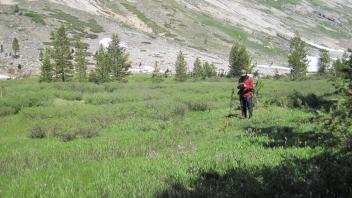 Lower Transect Overview (left to right)
