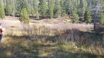 Lower Transect Overview (right to left) 2