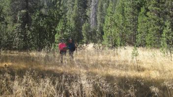 Lower Transect Overview (right to left)