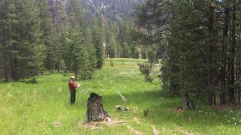 Lower Transect Overview (right to left)