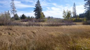 Lower Transect Overview (right to left)