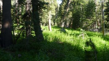 Lower Transect Overview (right to left)