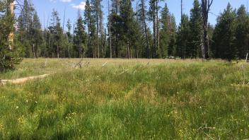 Lower Transect Overview (right to left)