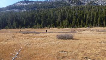 Lower Transect Overview (right to left)